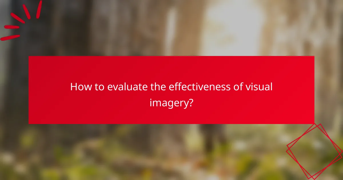 How to evaluate the effectiveness of visual imagery?